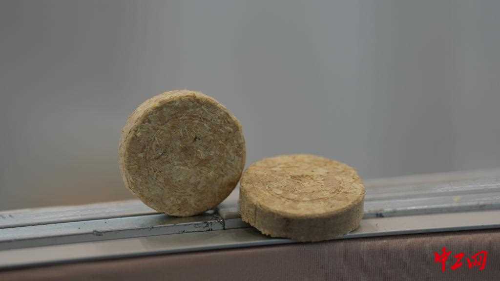 20260412055650-69db342207695.jpg 从会“生长”的徽章到可“循环”木屑 这届大赛绿意满满