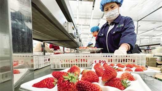 20260412060831-69db36df21468.jpg 他们成了就业市场的“香饽饽”