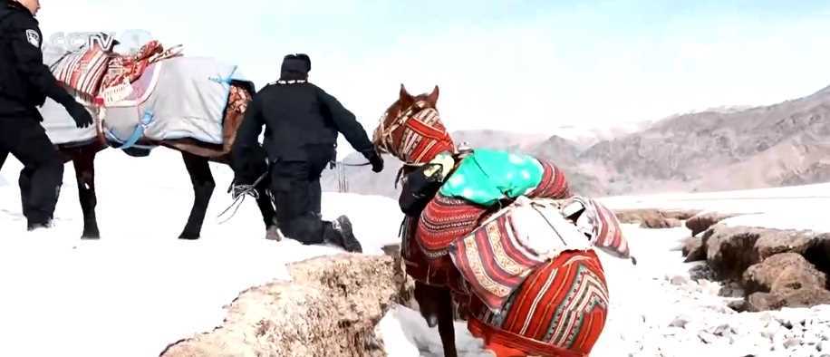 20260412060836-69db36e4cf1b0.jpg 春节我在岗|各行业劳动者用奉献诠释责任 保障万家祥和安宁