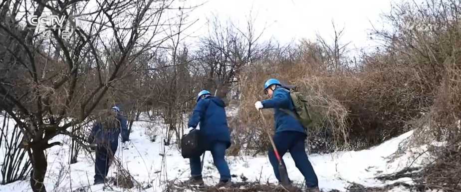 20260412060836-69db36e4db50a.jpg 春节我在岗|各行业劳动者用奉献诠释责任 保障万家祥和安宁