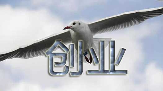 湖南长沙推出金融支持人才发展系列政策网赚项目-副业赚钱-互联网创业-资源整合青创网