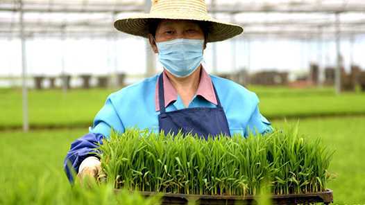 辽宁给农民评职称网赚项目-副业赚钱-互联网创业-资源整合青创网