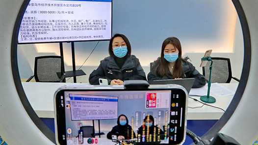 央国企事业单位直播带岗青海专场活动举办网赚项目-副业赚钱-互联网创业-资源整合青创网