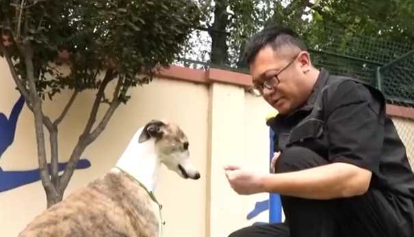 新消费业态催生新需求 一批职业“上新”为美好生活注入新活力网赚项目-副业赚钱-互联网创业-资源整合青创网