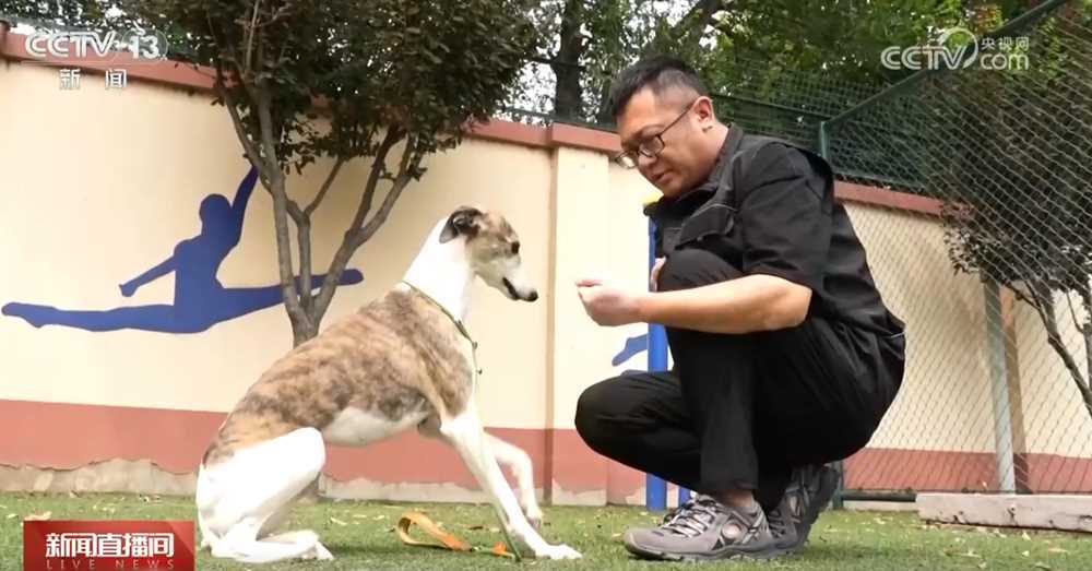 新消费业态催生新需求 一批职业“上新”为美好生活注入新活力