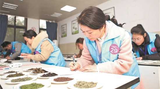 “新茶人”大比武网赚项目-副业赚钱-互联网创业-资源整合青创网