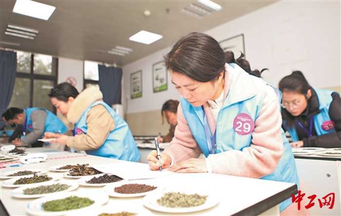 “新茶人”大比武