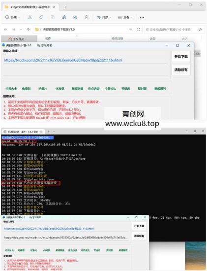 央视视频超级下载工具V1.0央视视频所有视频均可解析下载（直播除外网赚项目-副业赚钱-互联网创业-资源整合青创网