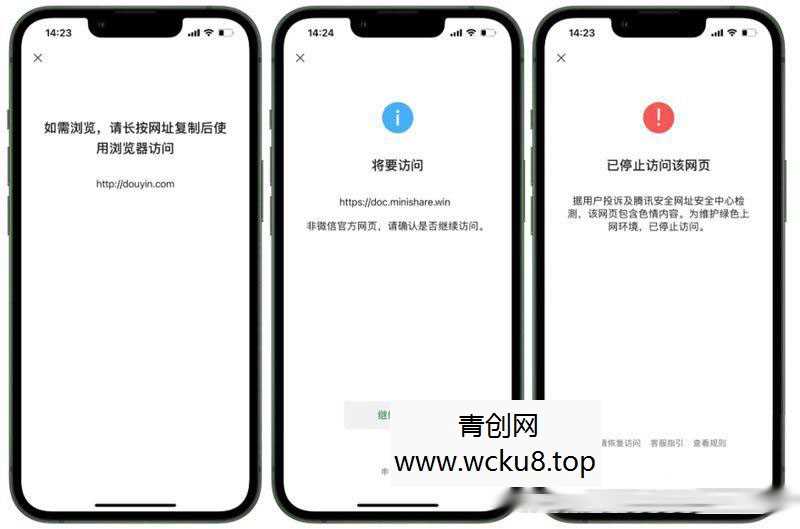 2023最新检测域名是否能在微信正常打开API源码网赚项目-副业赚钱-互联网创业-资源整合青创网