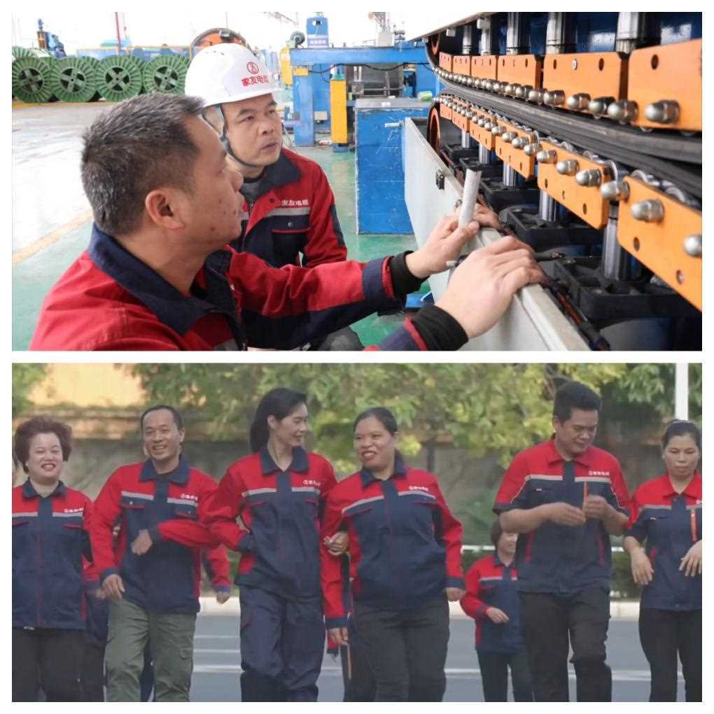 重点群体稳就业丨政策护航 助残就业绘就新图景