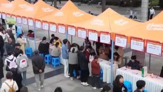 青岛今年力争城镇新增就业35万人网赚项目-副业赚钱-互联网创业-资源整合青创网