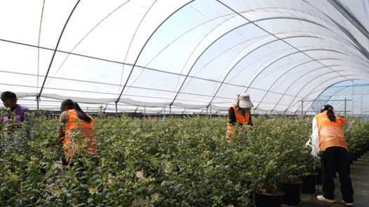 河北围场：技能培训准头大 农民增收渠道宽网赚项目-副业赚钱-互联网创业-资源整合青创网