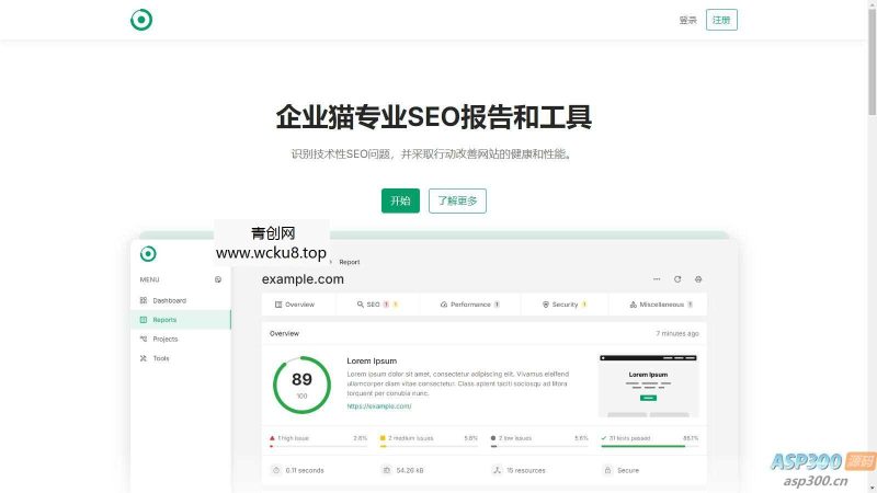 轻量SEO分析报告程序网站已开心去授权网赚项目-副业赚钱-互联网创业-资源整合青创网