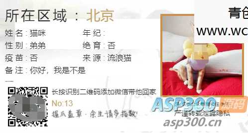 流浪猫流浪狗领养源码网赚项目-副业赚钱-互联网创业-资源整合青创网