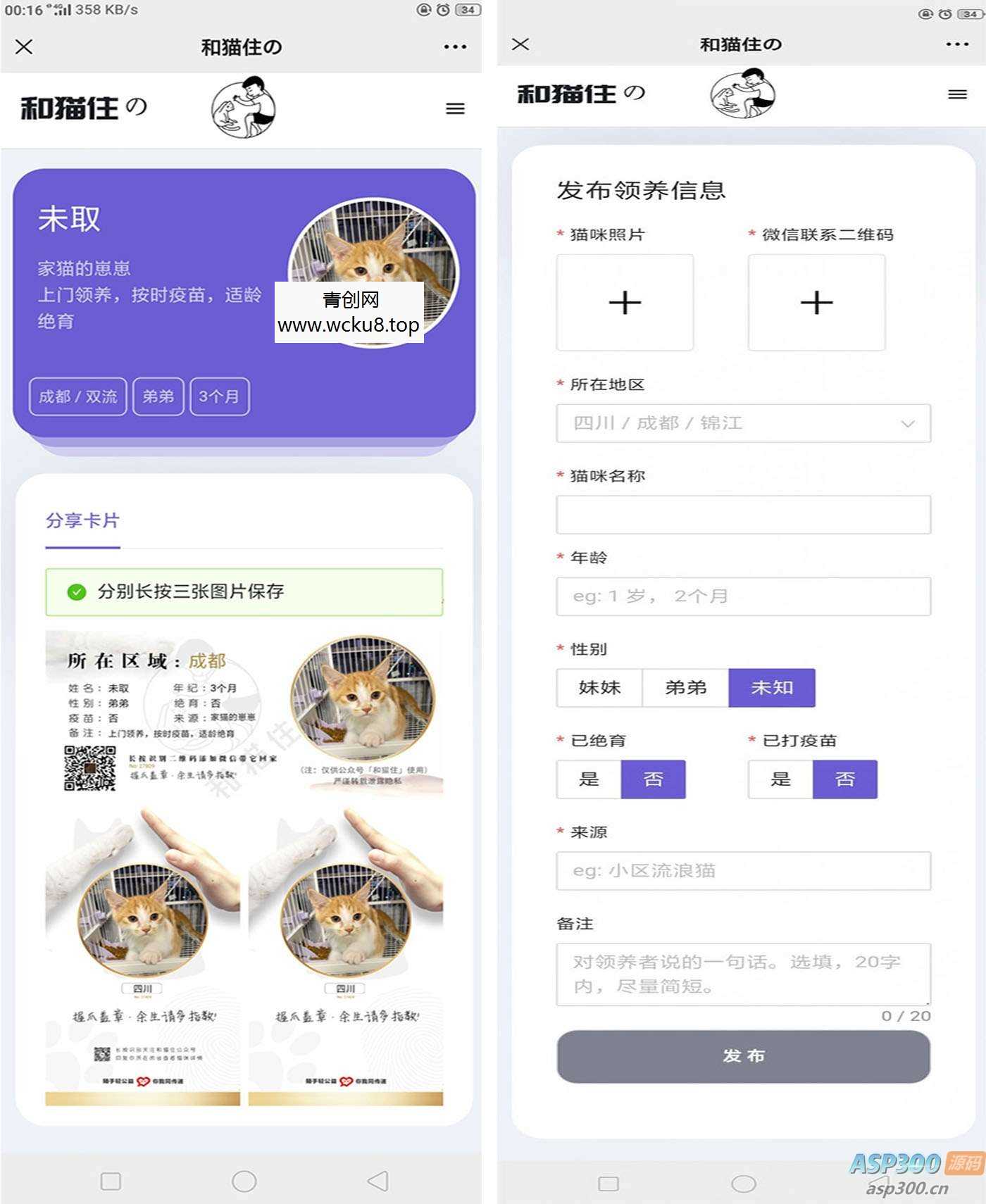 流浪猫流浪狗领养源码