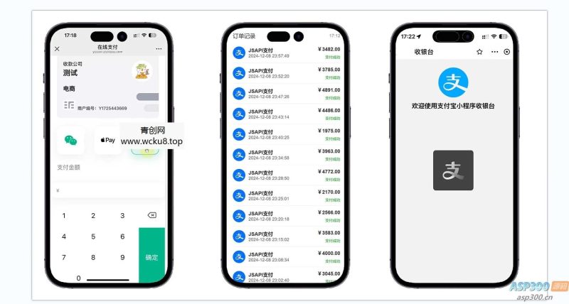 易支付精美设计的支付收银台模板，支持Apple Pay，需要配合jspay网赚项目-副业赚钱-互联网创业-资源整合青创网
