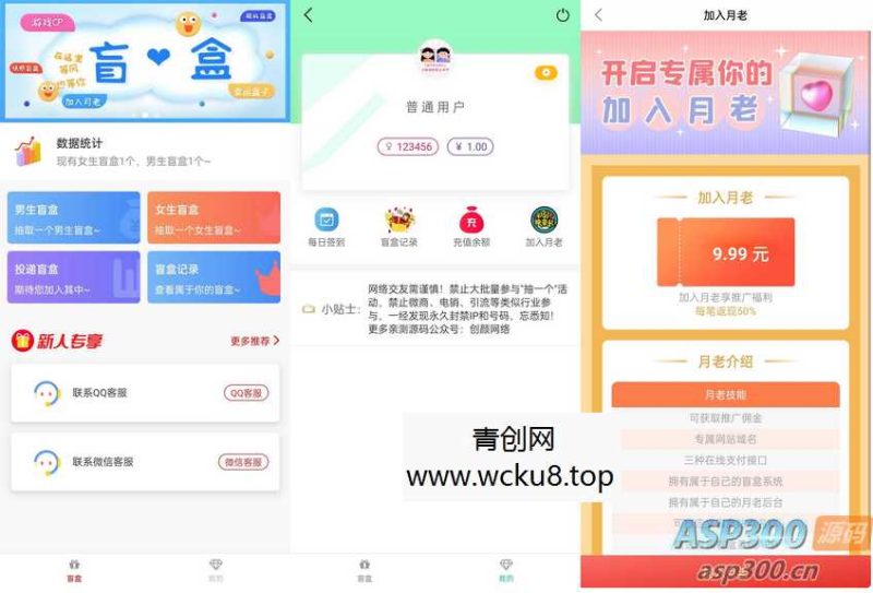 新版免公众号交友恋爱盲盒源码网赚项目-副业赚钱-互联网创业-资源整合青创网