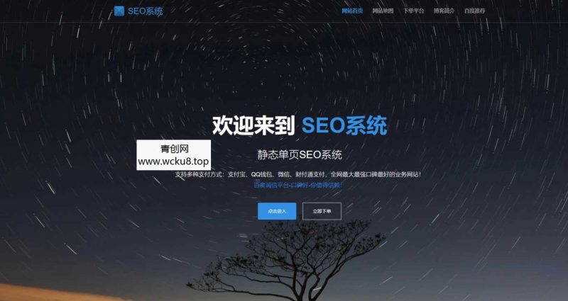 SEO站群系统免授权版,单页关键词排名网站源码网赚项目-副业赚钱-互联网创业-资源整合青创网