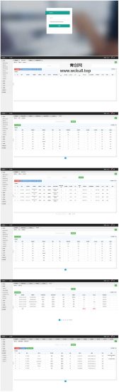 JAVA贸易经营管理进销存系统网赚项目-副业赚钱-互联网创业-资源整合青创网