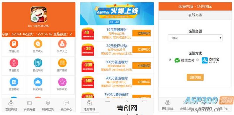 红包理财金融投资静态分红返利系统资盘8级分销【源码 教程】网赚项目-副业赚钱-互联网创业-资源整合青创网