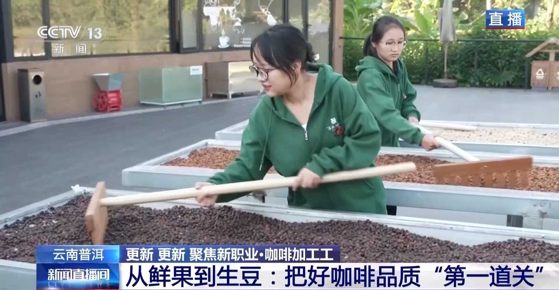 视频丨专业技能解锁风味密码 走近新职业“咖啡加工工”