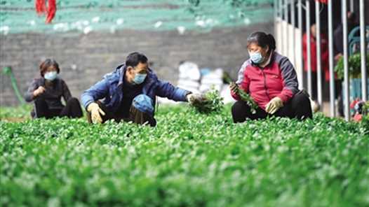 宁夏灵武市发放上亿元“崇军贷”助力退役军人创业就业网赚项目-副业赚钱-互联网创业-资源整合青创网