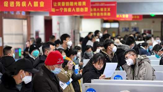 2025年内蒙古新增残疾人就业10529人网赚项目-副业赚钱-互联网创业-资源整合青创网