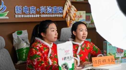 湖北省“新春创业服务月”将扶持直播带货等新业态网赚项目-副业赚钱-互联网创业-资源整合青创网