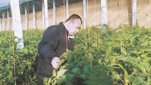 陕西加强残疾人职业技能和实用技术培训 为残障群体就业铺路搭桥网赚项目-副业赚钱-互联网创业-资源整合青创网