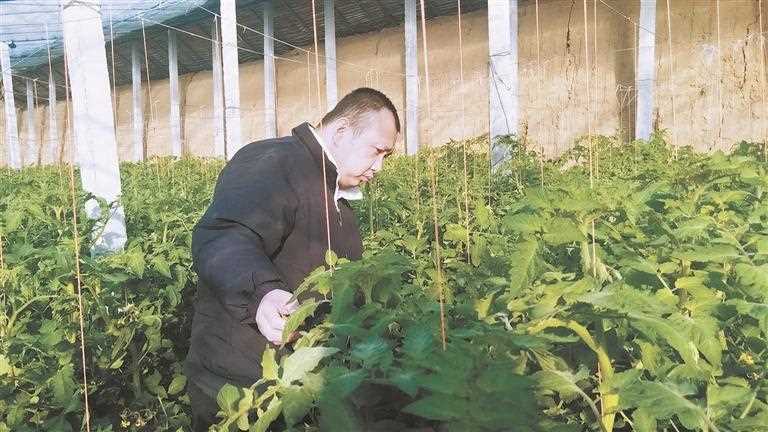 陕西加强残疾人职业技能和实用技术培训 为残障群体就业铺路搭桥