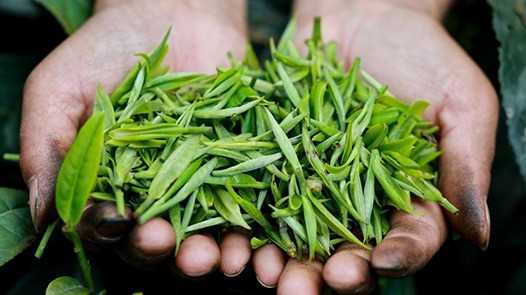 湖南武陵源劳务经济提质增效网赚项目-副业赚钱-互联网创业-资源整合青创网