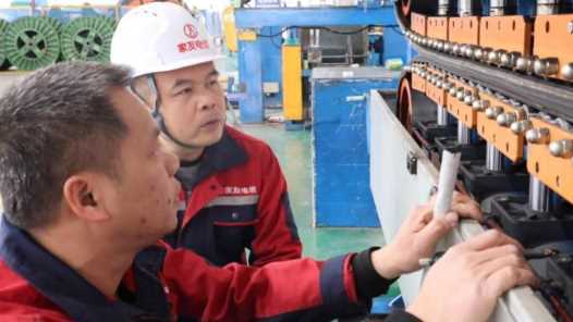 重点群体稳就业丨政策护航 助残就业绘就新图景网赚项目-副业赚钱-互联网创业-资源整合青创网