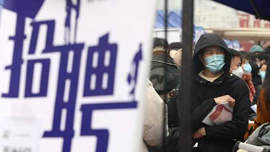 河北：2026年公共就业招聘专项活动安排出炉网赚项目-副业赚钱-互联网创业-资源整合青创网