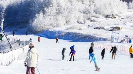 内蒙古启动“冰雪+文旅”促就业专项行动网赚项目-副业赚钱-互联网创业-资源整合青创网