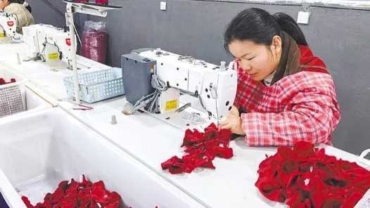 带潮玩生产线回村创业网赚项目-副业赚钱-互联网创业-资源整合青创网