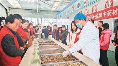 开年探就业网赚项目-副业赚钱-互联网创业-资源整合青创网