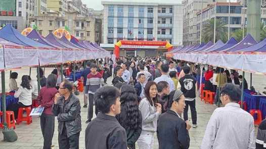 广东廉江“逢十”招聘会新春纳贤网赚项目-副业赚钱-互联网创业-资源整合青创网