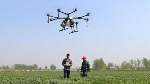 发展壮大乡村人才队伍网赚项目-副业赚钱-互联网创业-资源整合青创网