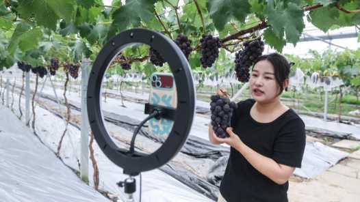 全国农业行业职业技能大赛农产品经纪人技能竞赛启动网赚项目-副业赚钱-互联网创业-资源整合青创网